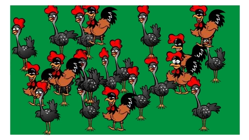 JOAO  EM    A     HISTORIA DE UMA RJURU<br />
